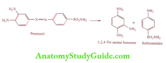 Medical Chemistry Prodrugs Sufonamides