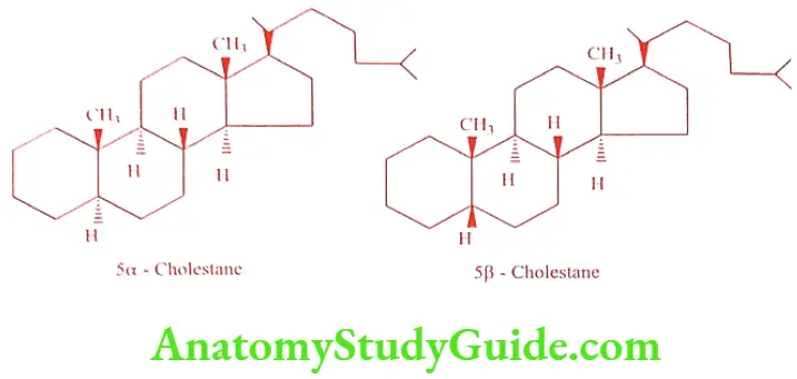 Medical Chemistry Steroids And Related Compounds Cholestane