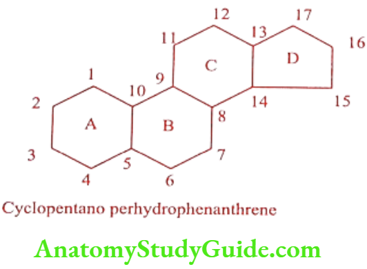 Medical Chemistry Steroids And Related Compounds Cyclopentano