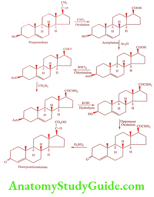Medical Chemistry Steroids And Related Compounds Deoxycorticosterone synthesis