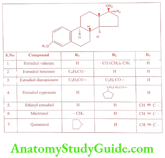 Medical Chemistry Steroids And Related Compounds Derivatives of Estradiol