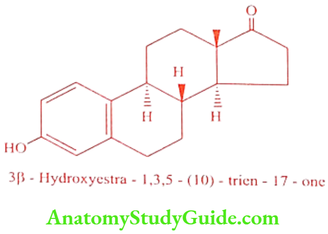 Medical Chemistry Steroids And Related Compounds Estorne