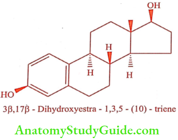 Medical Chemistry Steroids And Related Compounds Estradiol