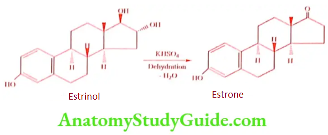 Medical Chemistry Steroids And Related Compounds Estriol to Estrone