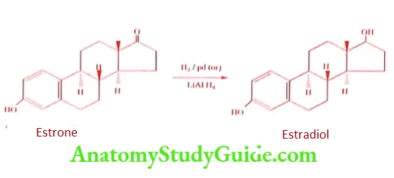 Medical Chemistry Steroids And Related Compounds Estrone to Estradiol