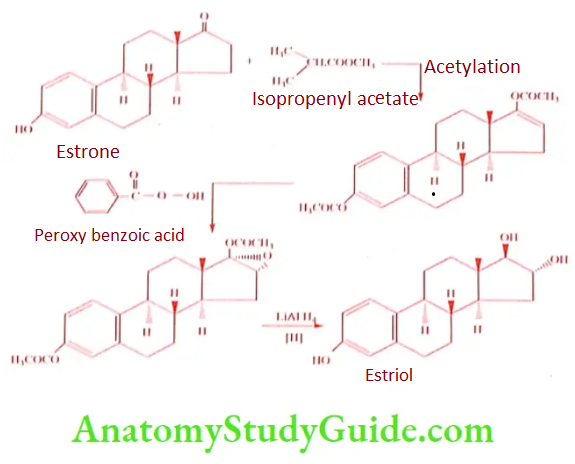 Medical Chemistry Steroids And Related Compounds Estrone to Estriol