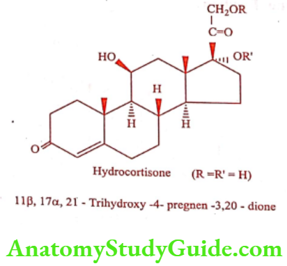 Medical Chemistry Steroids And Related Compounds Hydrocortisone