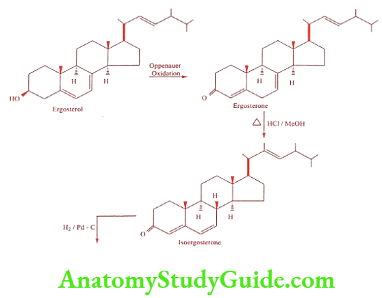 Medical Chemistry Steroids And Related Compounds Progesterone synthesis method 2