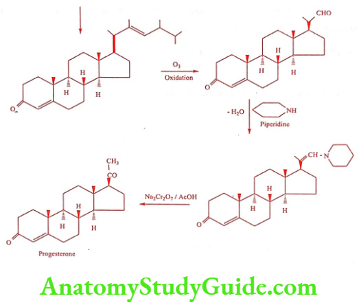 Medical Chemistry Steroids And Related Compounds Progesterone synthesis method 3