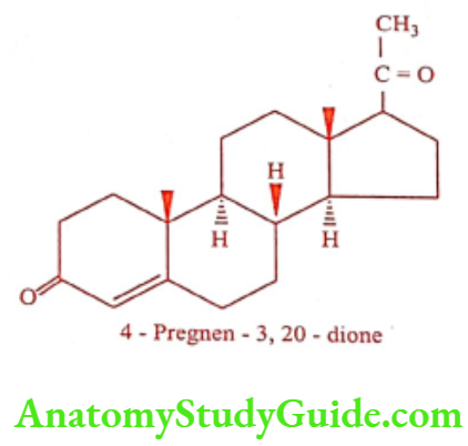 Medical Chemistry Steroids And Related Compounds Progesterone