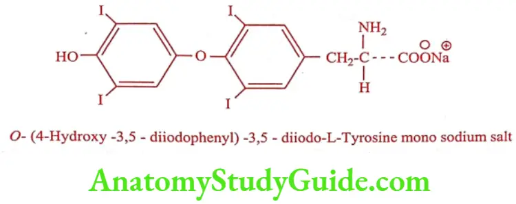 Medical Chemistry Thyroid And Antithyroid Drugs Levothryoxine sodium