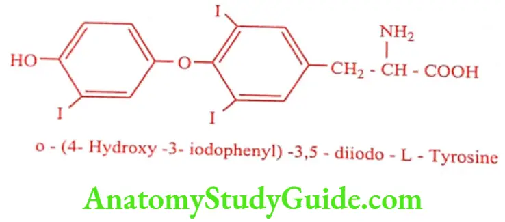 Medical Chemistry Thyroid And Antithyroid Drugs Liothyronine