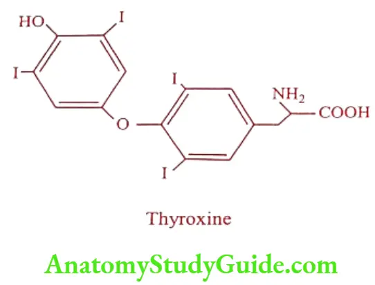 Medical Chemistry Thyroid And Antithyroid Drugs Thyroxine