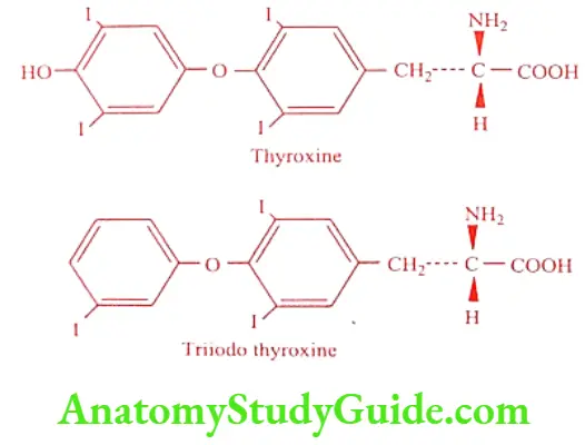 Medical Chemistry Thyroid And Antithyroid Drugs Triiodo thyroxine