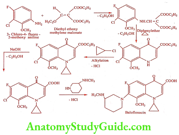 Medical Chemistry Urinary Tract Anti Infective Agents Balofloxacin Synthesis