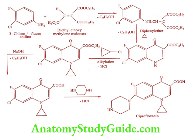 Medical Chemistry Urinary Tract Anti Infective Agents Ciprofloxacin Synthesis