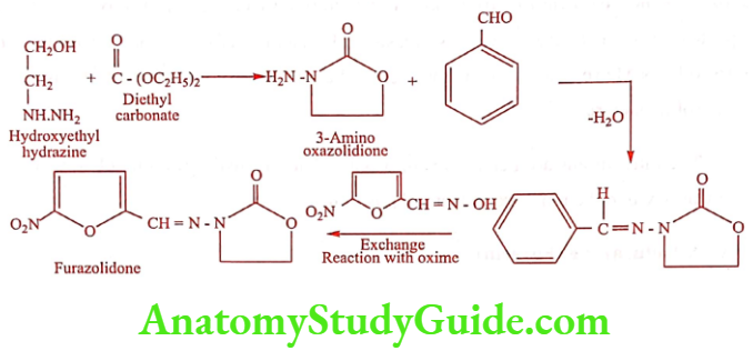 Medical Chemistry Urinary Tract Anti Infective Agents Furazolidone Synthesis