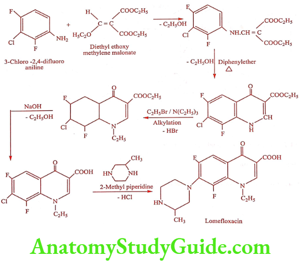 Medical Chemistry Urinary Tract Anti Infective Agents Lomefloxacin Synthesis