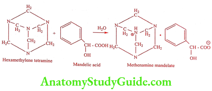 Medical Chemistry Urinary Tract Anti Infective Agents Methenamine mandelate Synthesis