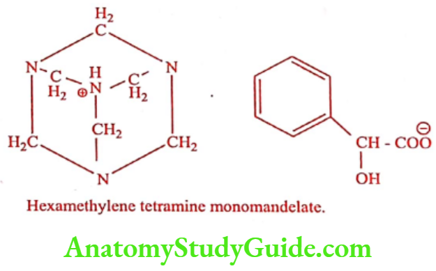 Medical Chemistry Urinary Tract Anti Infective Agents Methenamine mandelate