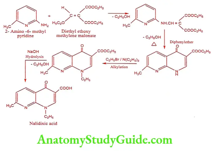Medical Chemistry Urinary Tract Anti Infective Agents Nalidixic acid synthesis