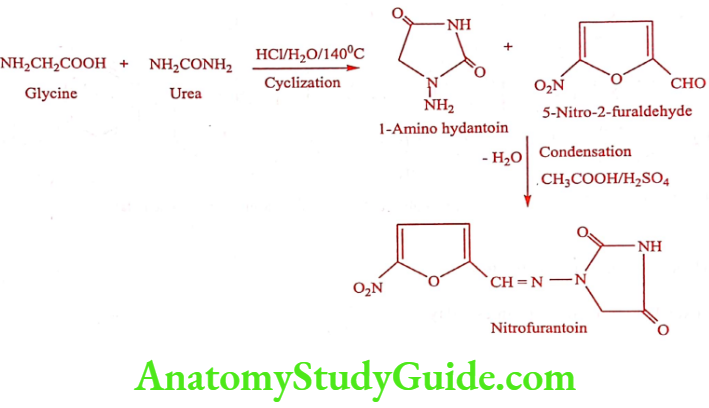 Medical Chemistry Urinary Tract Anti Infective Agents Nitrofurantoin Synthesis