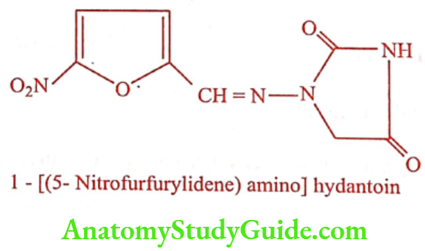Medical Chemistry Urinary Tract Anti Infective Agents Nitrofurantoin