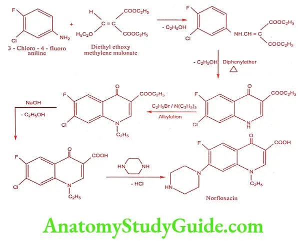 Medical Chemistry Urinary Tract Anti Infective Agents Norfloxacin Synthesis