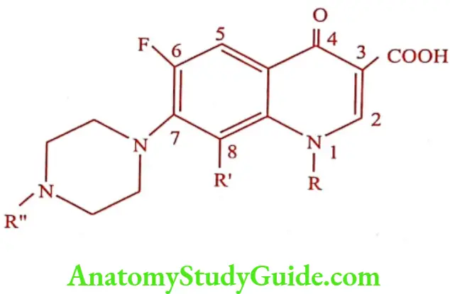 Medical Chemistry Urinary Tract Anti Infective Agents Quinolones