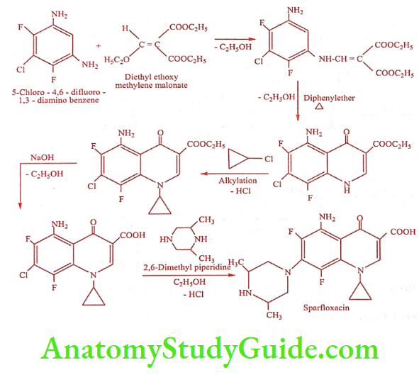 Medical Chemistry Urinary Tract Anti Infective Agents Sparfloxacin Synthesis