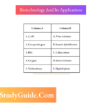 NEET Biology MCQs - Biotechnology And Its Applications