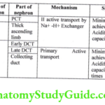 Percentage and mechanism of H secretion in different part of nephron