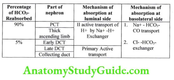 Percentage and mechanism of HCO absorption in different part of nephron