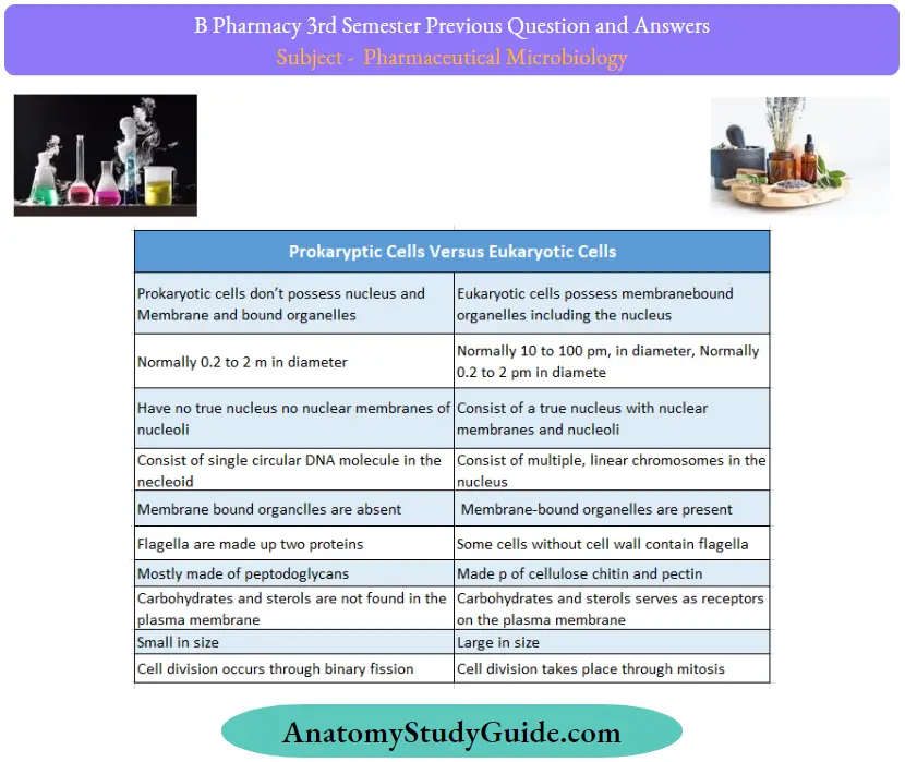 Previous Question And Answers Difference Between Prokaryotes And Eukaryotes
