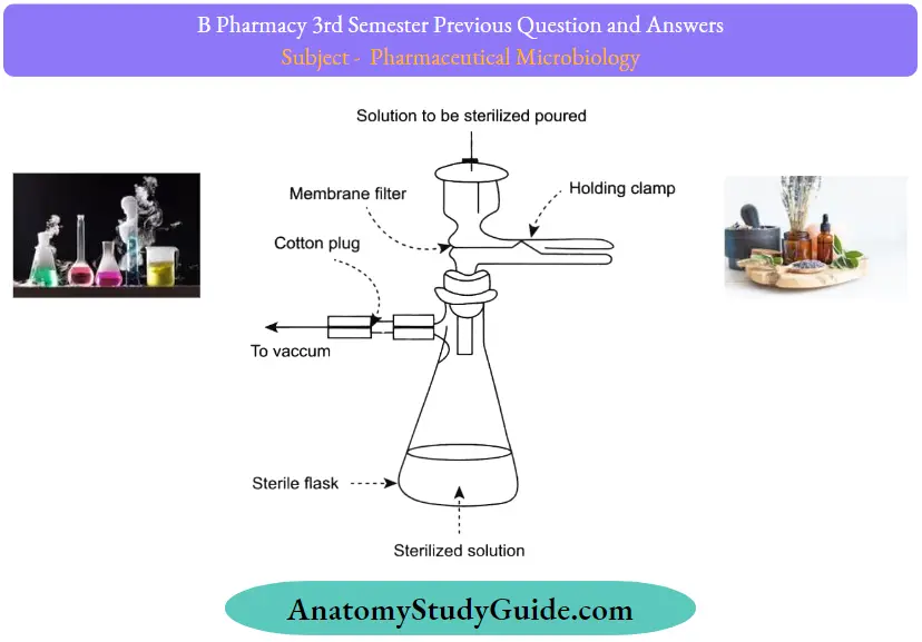 Pharmaceutical Microbiology Long Question And Answers - Anatomy Study Guide