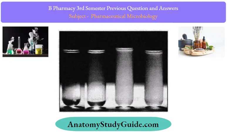 Previous Question And Answers Test Tube Containing Turbidity