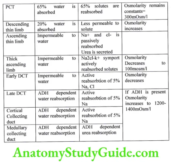 Summary of water and solute reabsorption in different renal tubular segment and resultant urinary osmolarity