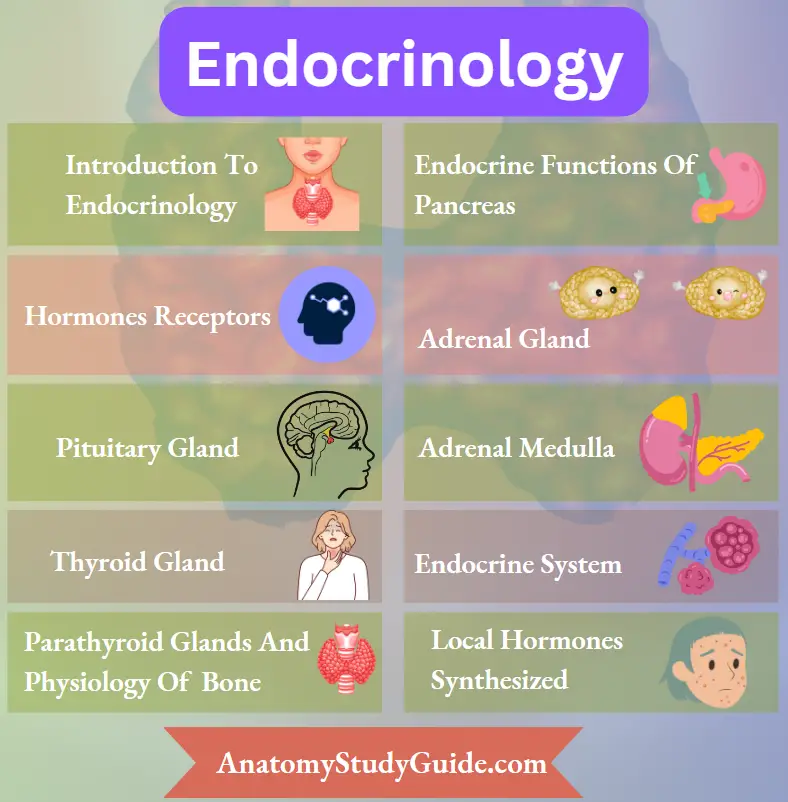 Endocrinology