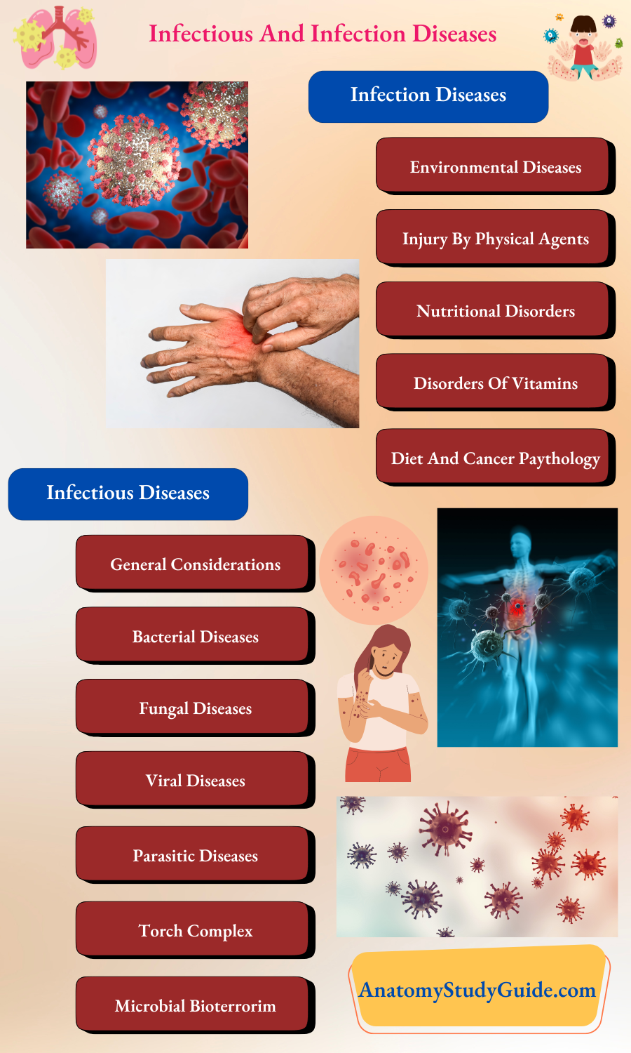 Infectious And Infection Diseases