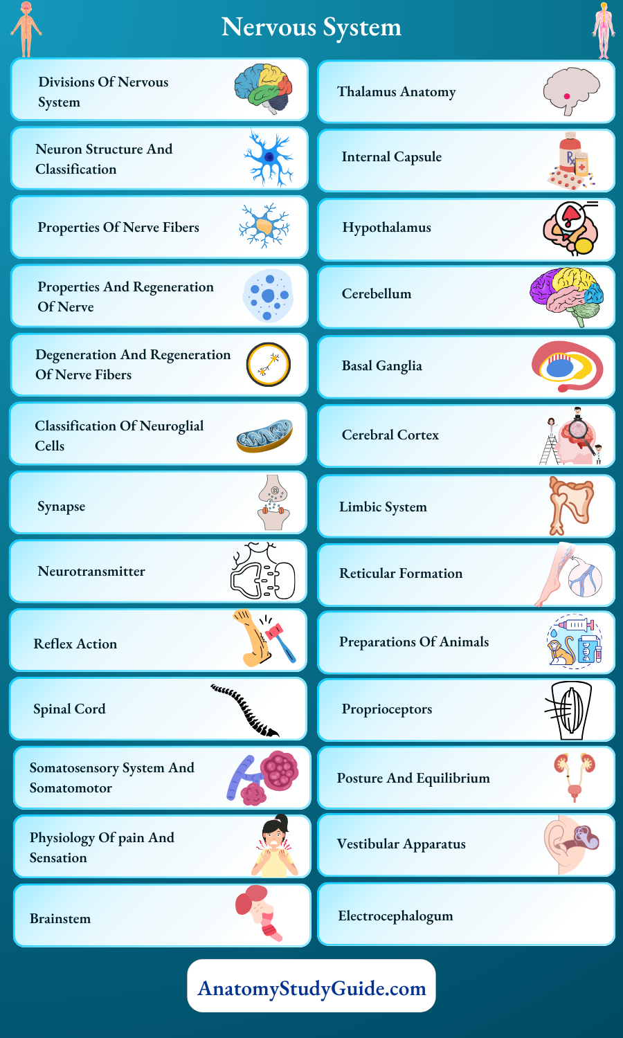 Nervous System